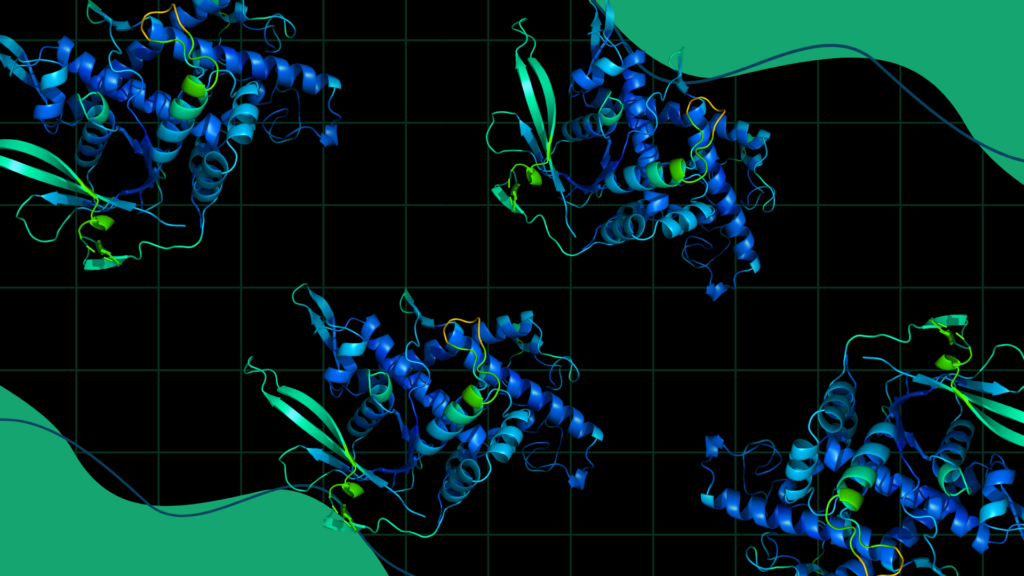 Protein Structure Prediction with AlphaFold2