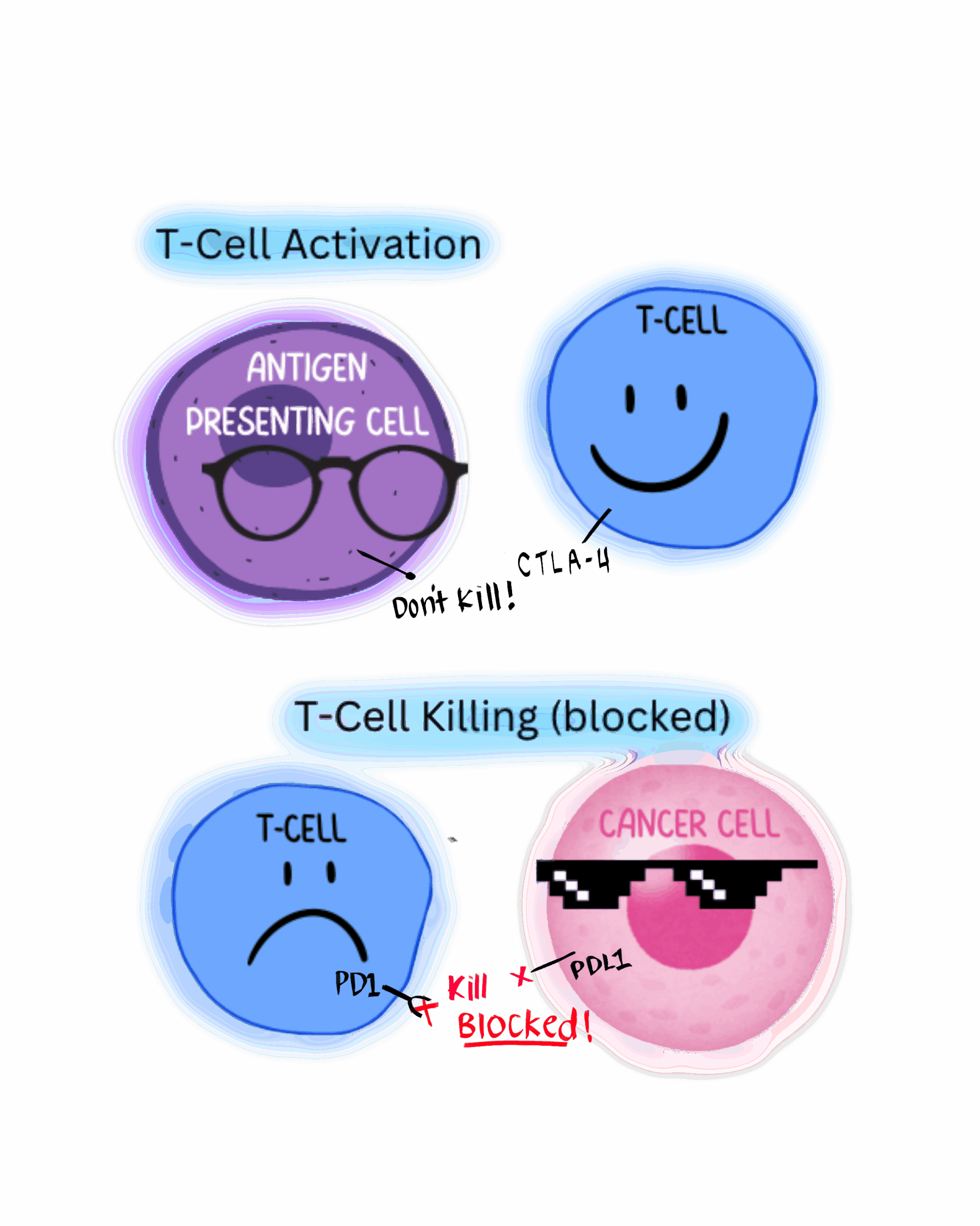 ONC-392/BNT-316(Gotistobart) – a New Promising Drug for Cancer Patients